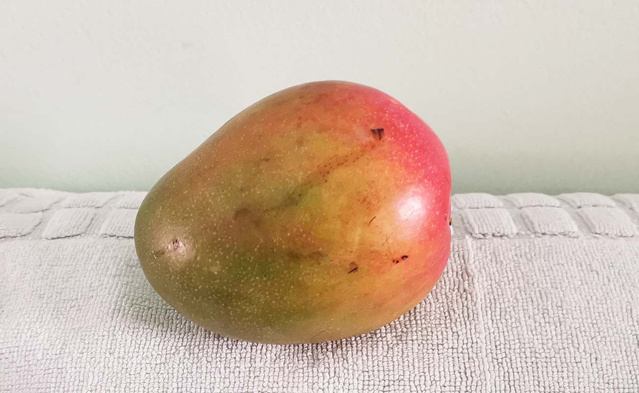 manga-por-unidad-verduleria-flores-distrito-barrantes-canton-flores-heredia-heredia-17032024