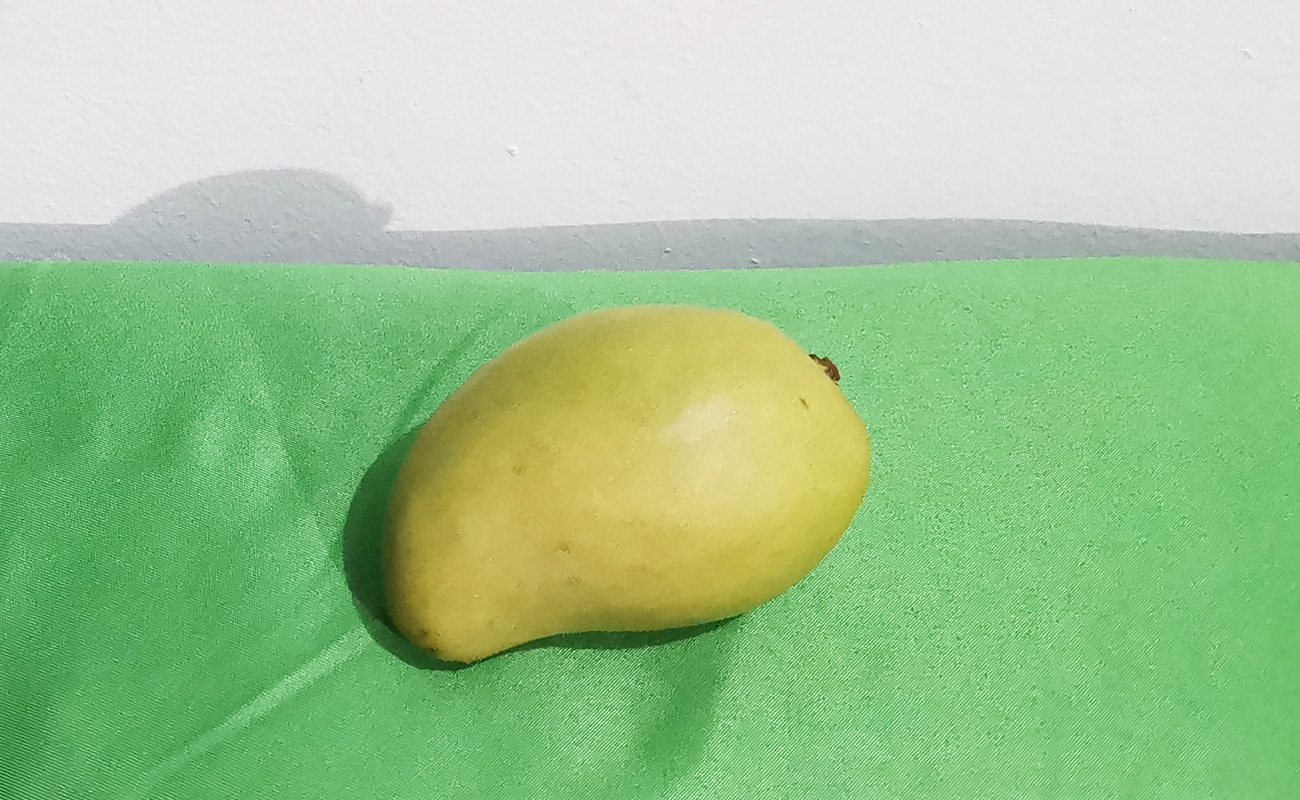 mango-vede-100g-mercado-central-distrito-los-angeles-canton-heredia-heredia-16022024