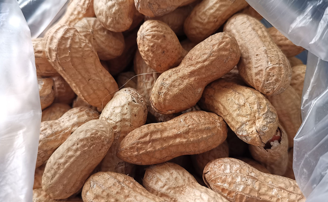 mani-tostado-1000g-cafe-vigoroso-distrito-heredia-canton-heredia-heredia-29112023