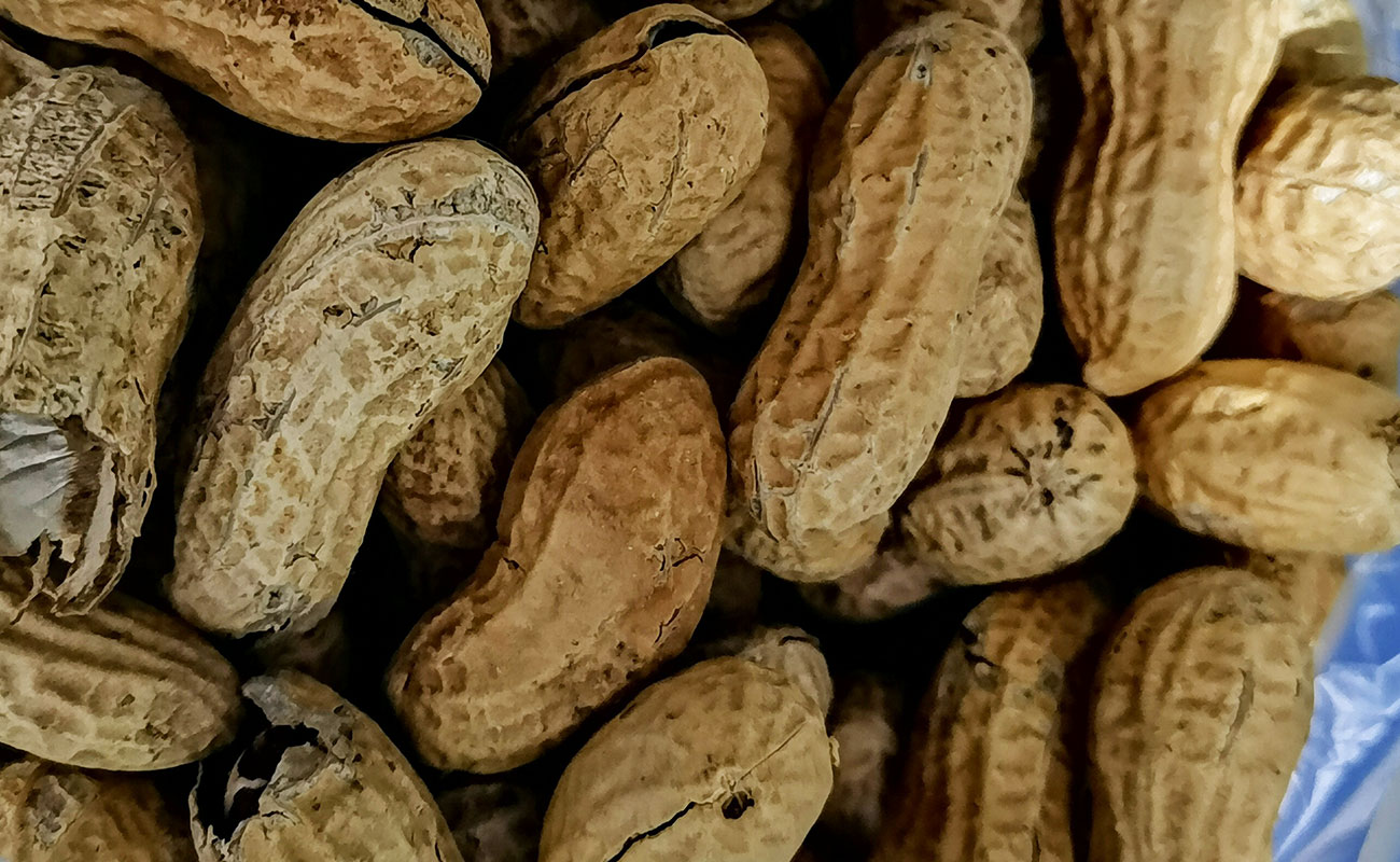 mani-tostado-1000g-cafe-vigoroso-distrito-los-angeles-canton-de-heredia-heredia-16112023