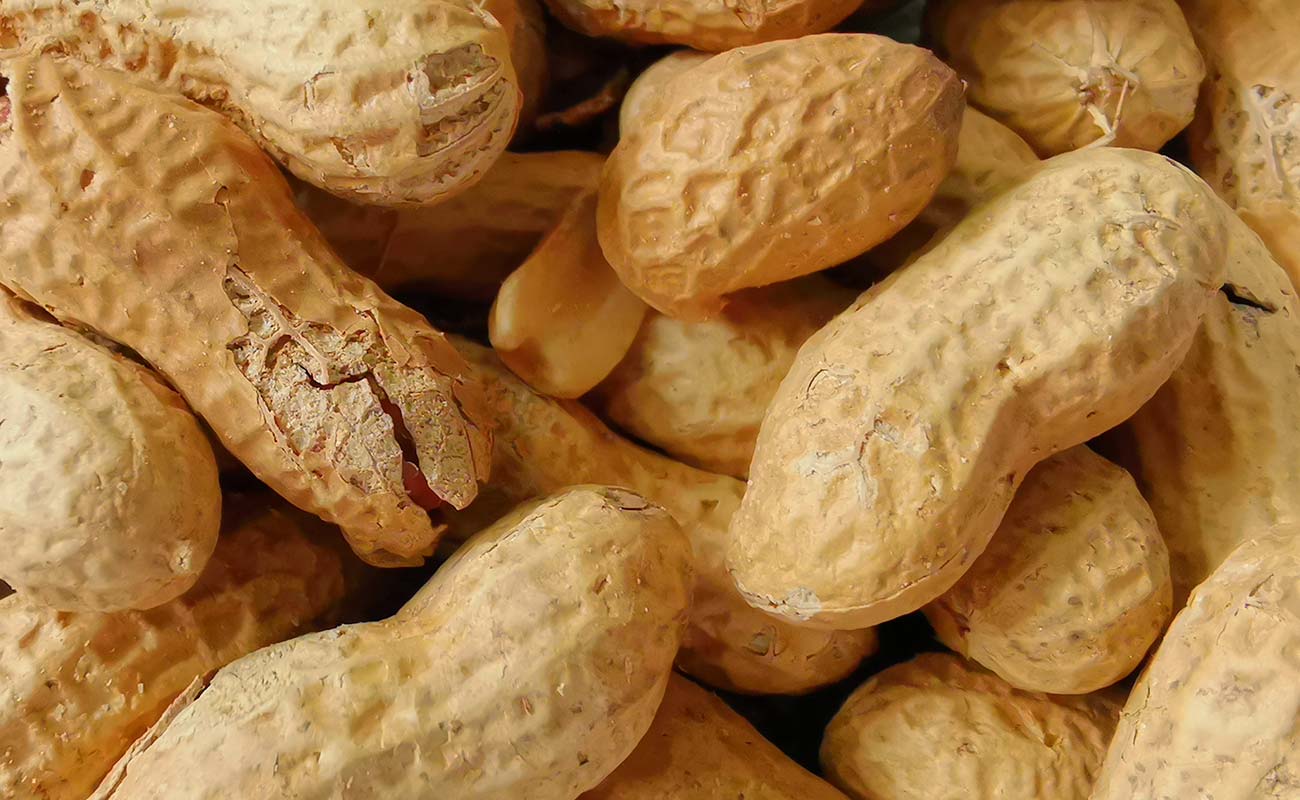 mani-tostado-500g-pro-masxmenos-distrito-san-francisco-canton-heredia-heredia-26042024