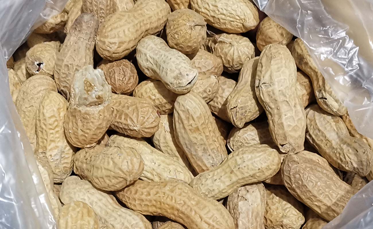 mani-tostado-500g-sabe-mas-masxmenos-distrito-san-francisco-canton-heredia-heredia-04032024