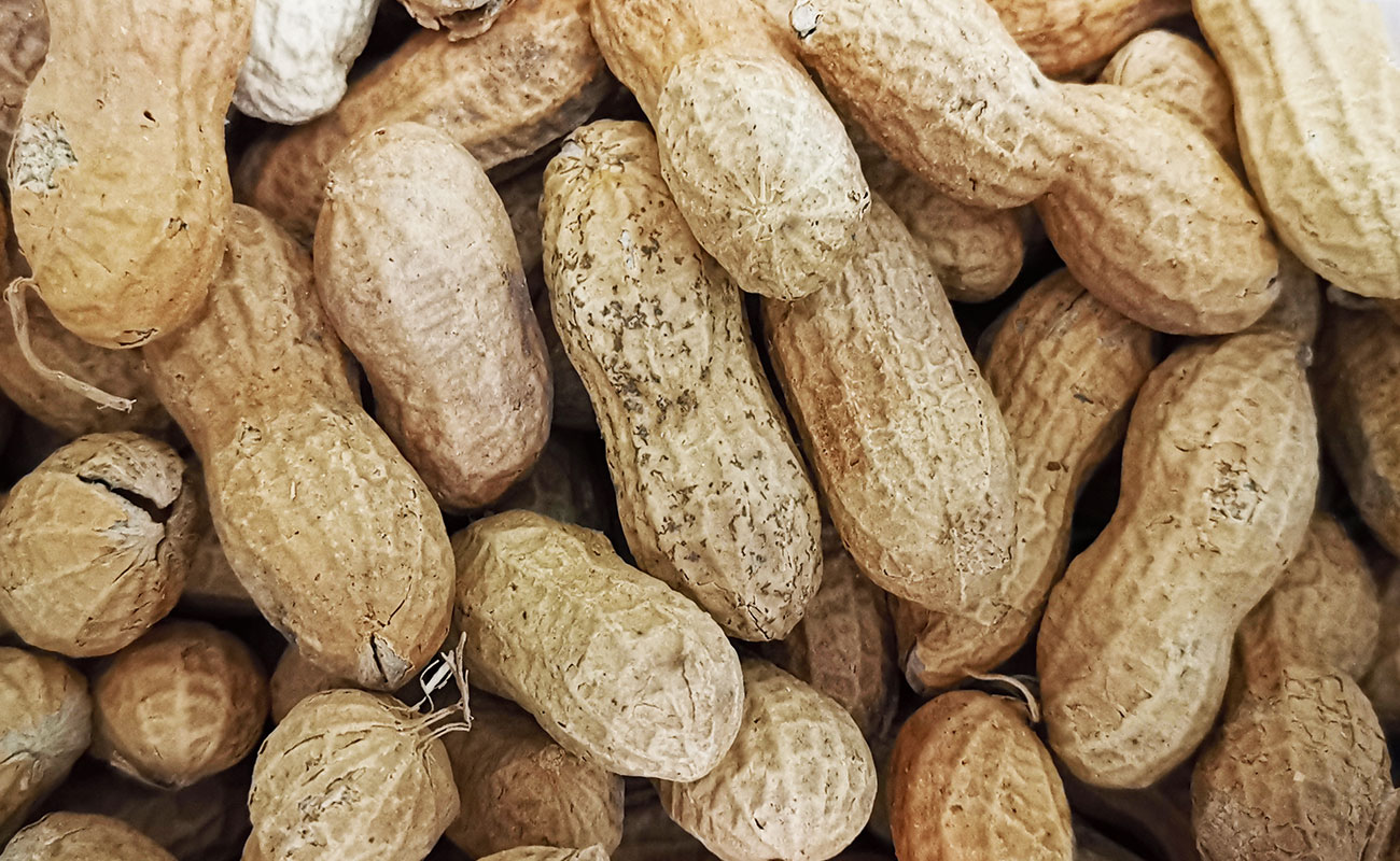 mani-tostado-pro-500g-mani-pro-masxmenos-san-francisco-heredia-05112023