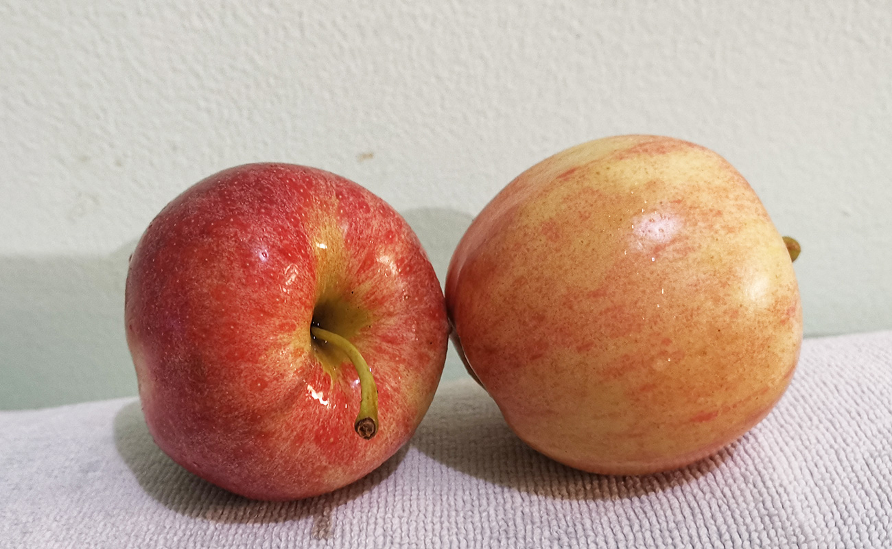 tomate-primera-597g-auto-automercado-distrito-san-francisco-canton-heredia-heredia-22012024