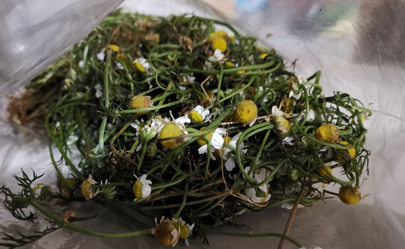 Manzanilla Orgánica 330g / Tramo Mercado Municipal, Heredia-17102023