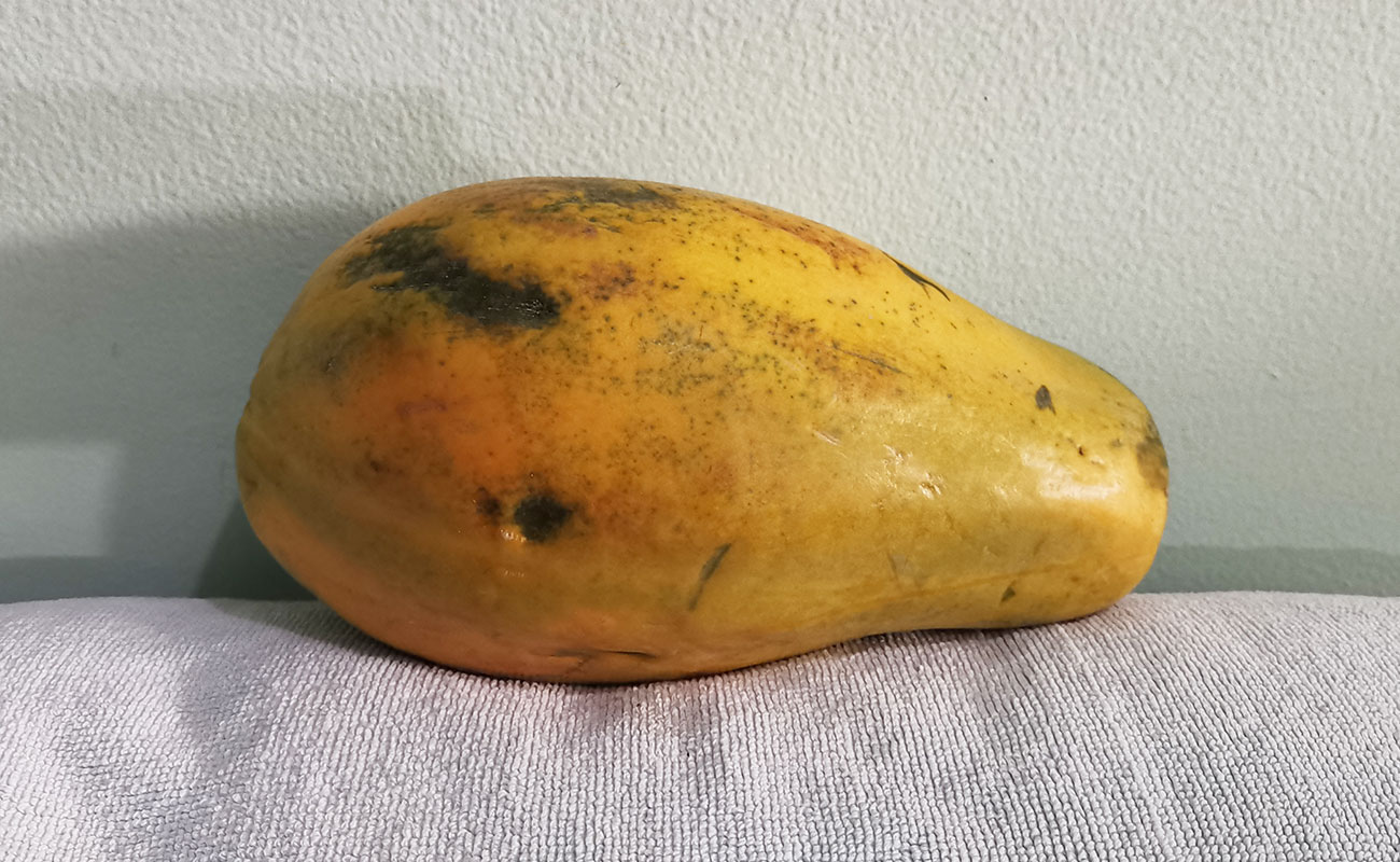 papalla-enteral-600kg-verduras-la-gran-bodega-distrito-san-francisco-canton-heredia-heredia-03012024