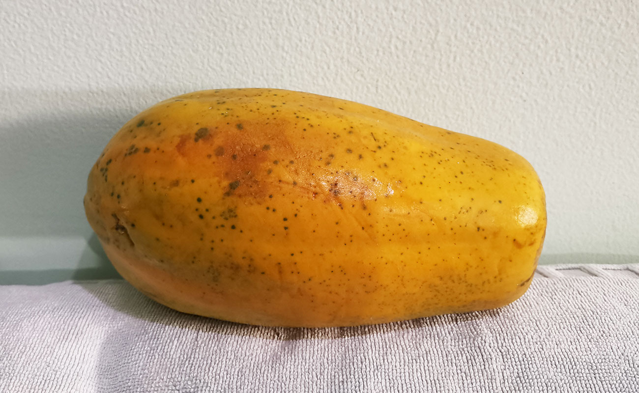 papaya-1420g-frutas-verduras-la-gran-bodega-flores-heredia-28102023