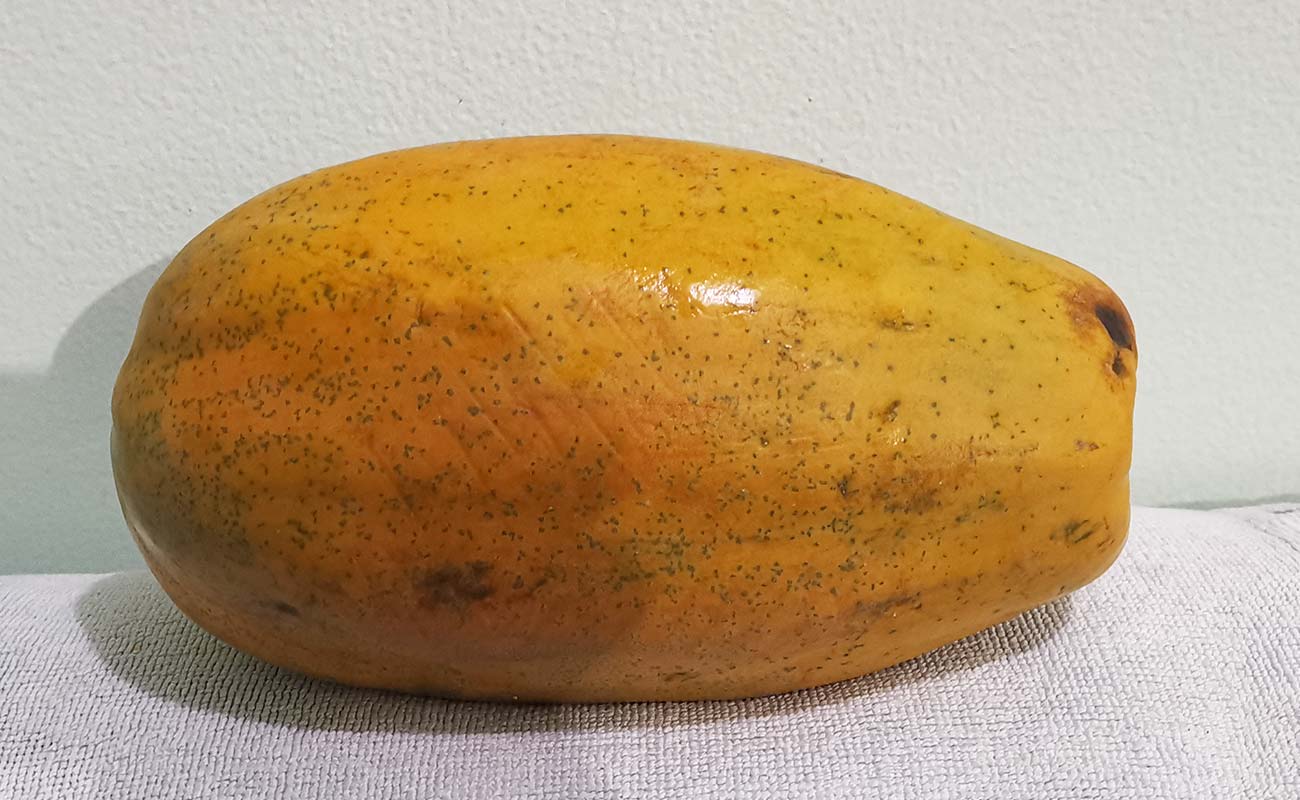 papaya-980g-verduleria-la-canasta familiar-distrito-mercedes-canton-heredia-heredia-06042024