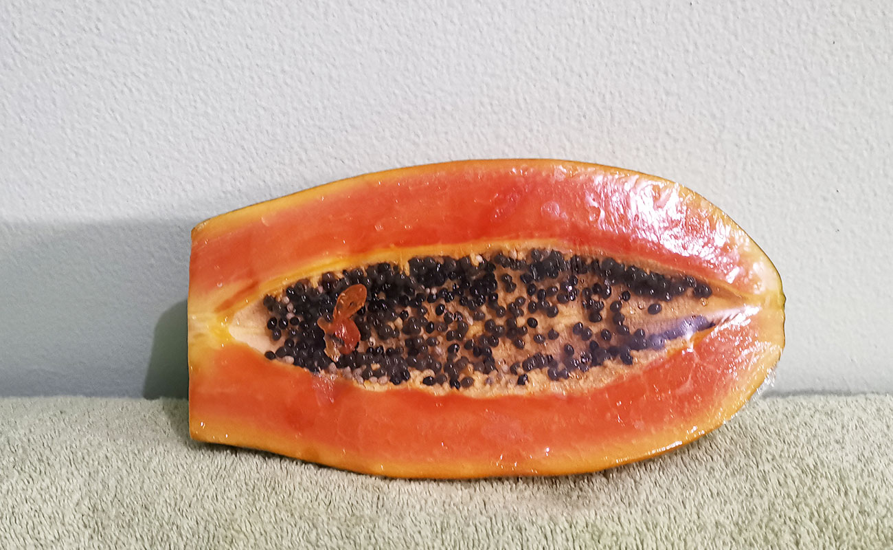 Papaya Fresca 655g /Max X Menos,  Paseo de las Flores, Heredia-16082023