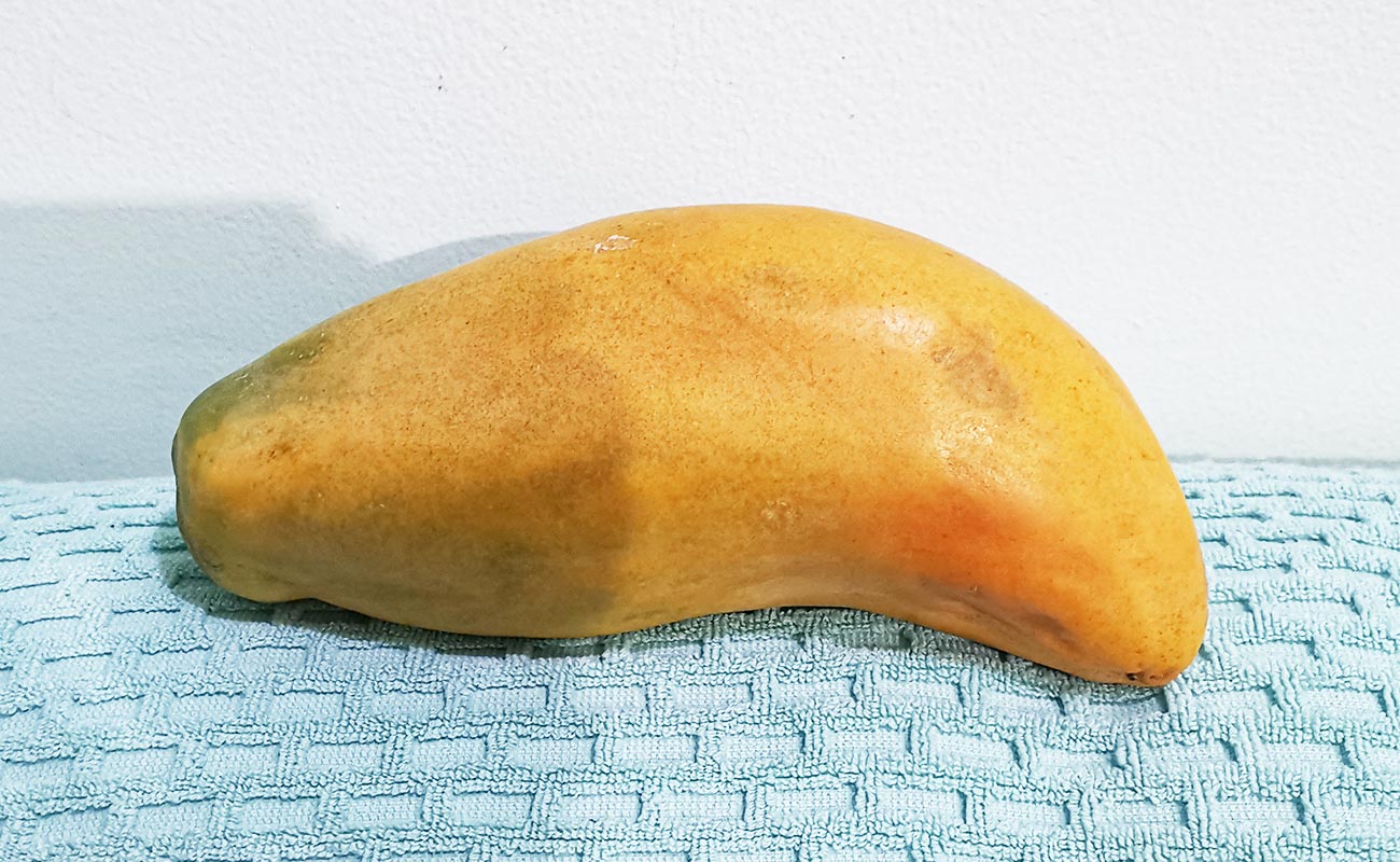 papaya-nacional-1000g-fruteria-kristal-ruta-32-el-cruce-distrito-guapiles-canton-pococi-provincia-limon-30062024