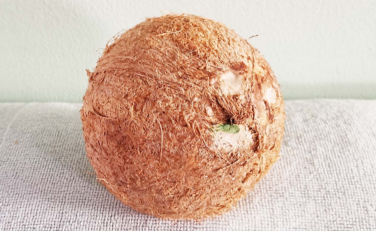 pipa-por-3-pack-masxmenos-distrito-san-francisco-canton-heredia-heredia-05042024