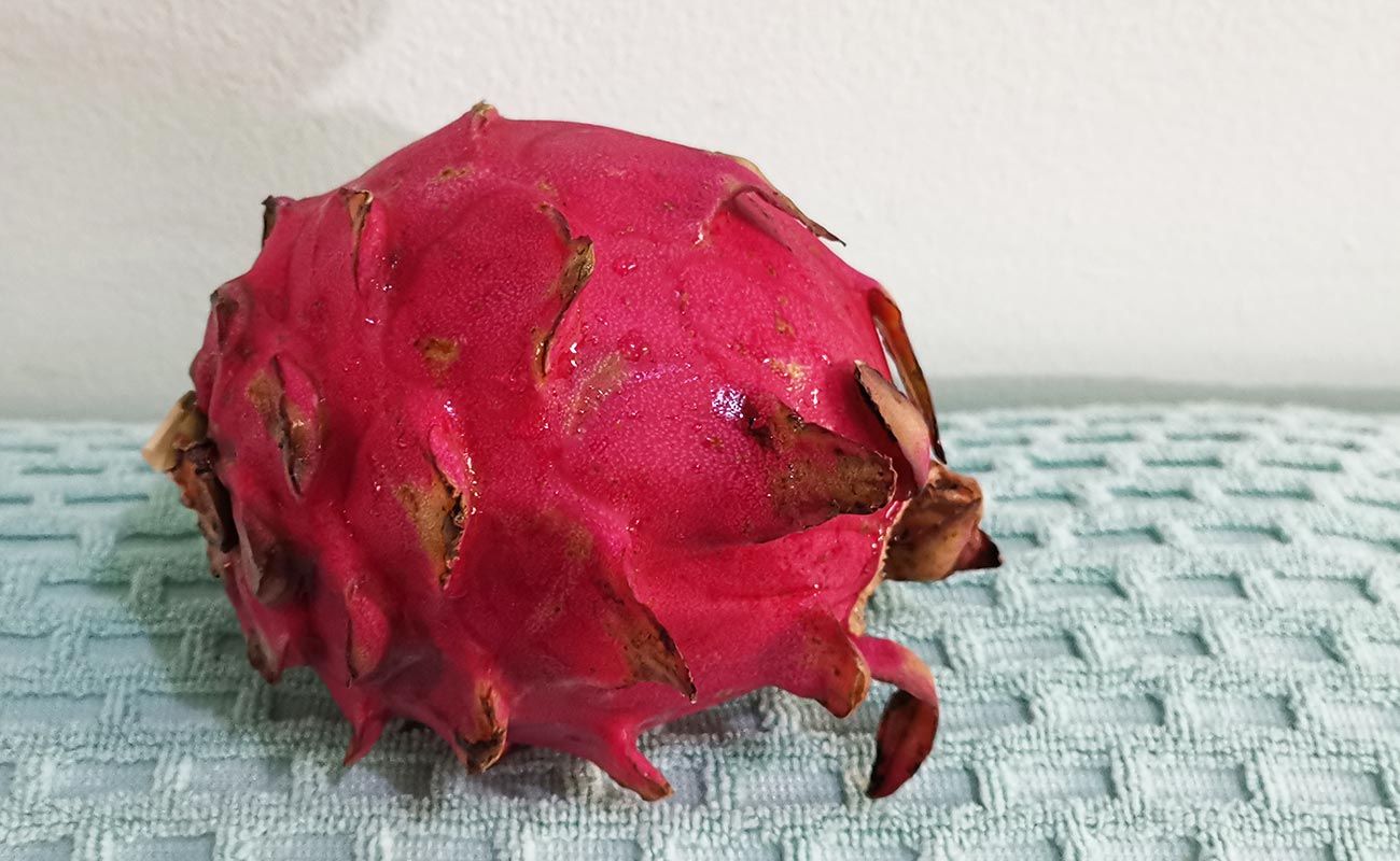 pitahaya555g-mas-x-menos-distrito-san-francisco-canton-heredia-heredia-01062024