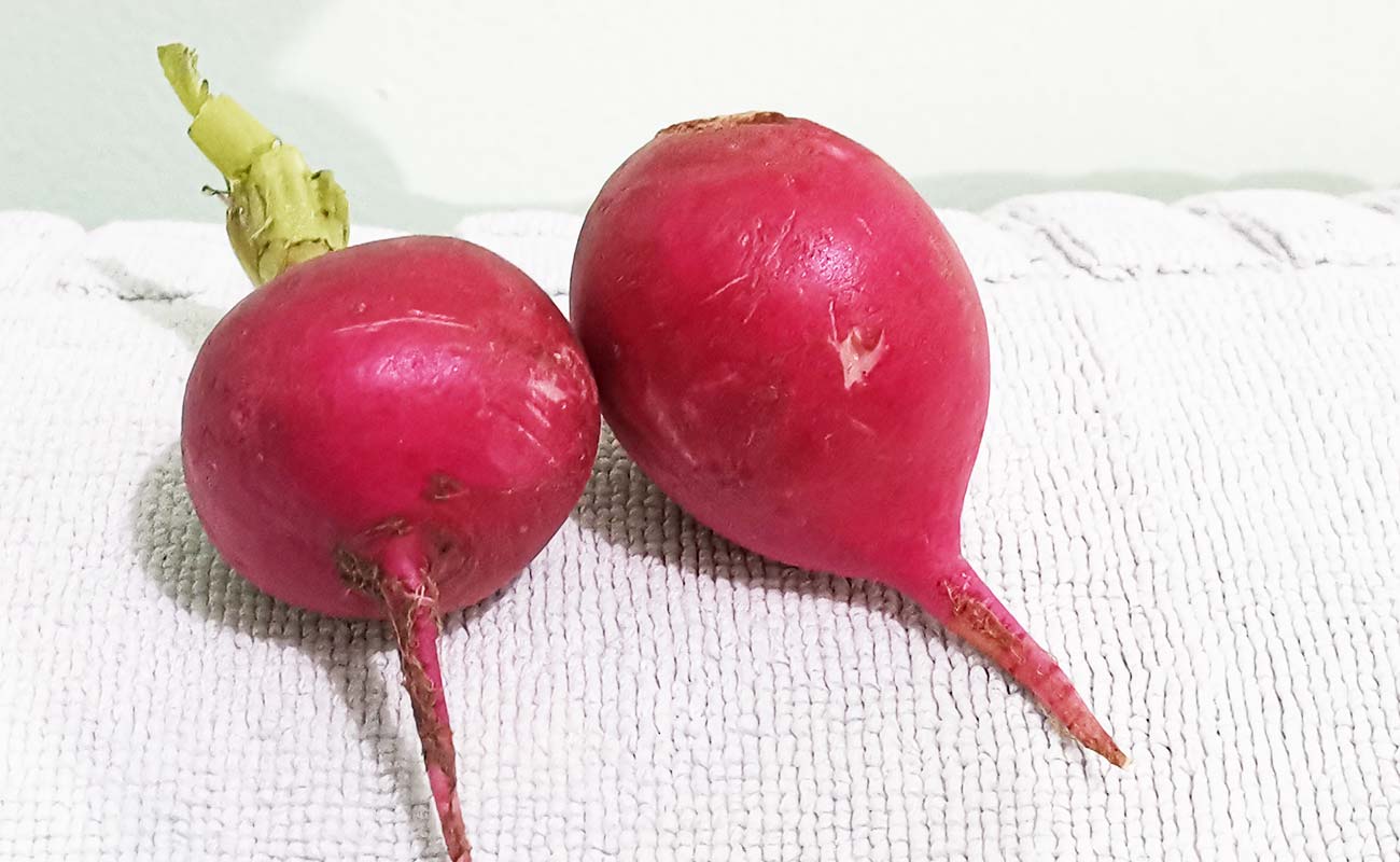 rabano-rojo-por-rollo-supermercados-unidos-pali-san-joaquin-distrito-san-joquin-canton-flores-heredia-23032024