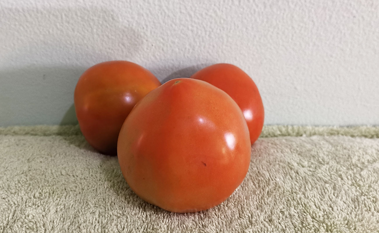 Tomate280g / La Gran Bodega de Frutas y Verduras, Flores, Heredia-16082023