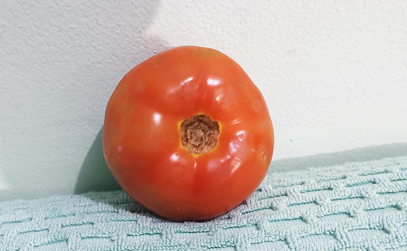tomate-a-granel-510g-walmart-distrito-san-francisco-canton-heredia-heredia-05052024