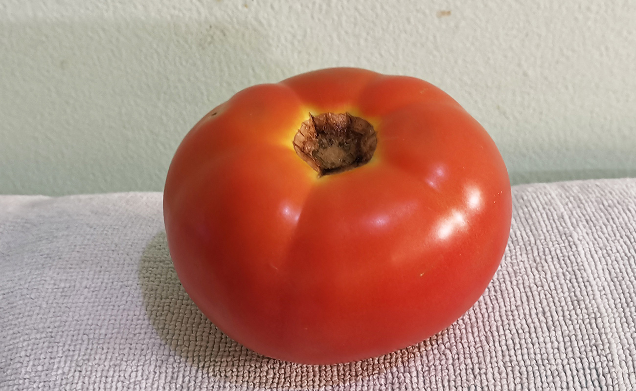 tomate-primera-597g-auto-automercado-distrito-san-francisco-canton-heredia-heredia-22012024