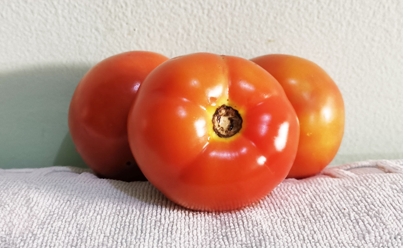 Tomate Tercera 440g / La Gran Bodega de Frutas y Verduras, Flores, Heredia-29092023