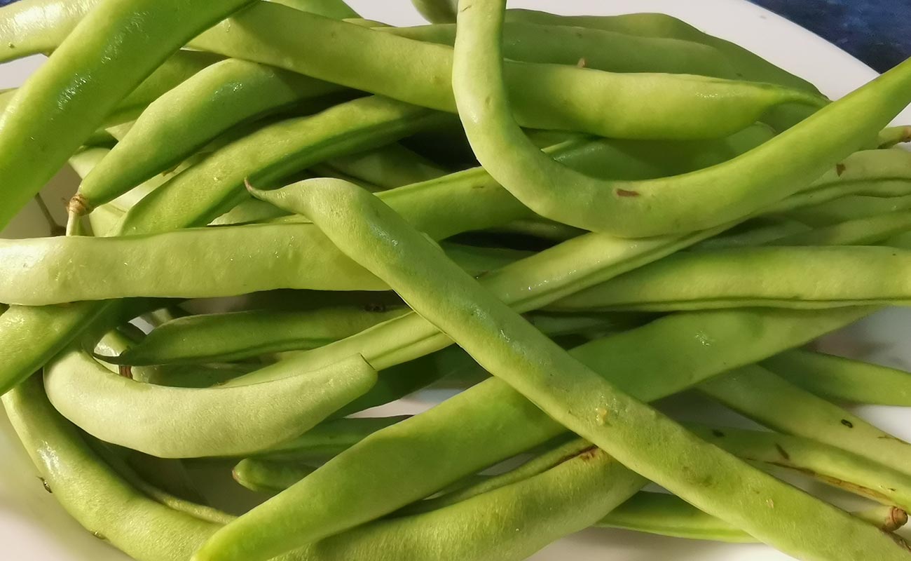 vainica-500g-mas-x-menos-heredia-sur-distrito-ulloa-canton-heredia-heredia-02052024